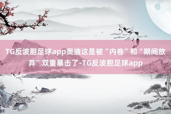 TG反波胆足球app奥迪这是被“内卷”和“期间放弃”双重暴击了-TG反波胆足球app