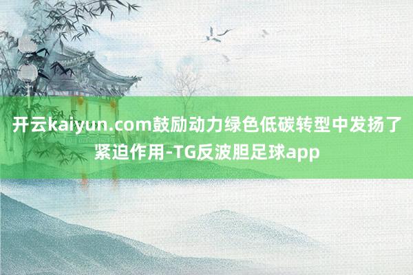 开云kaiyun.com鼓励动力绿色低碳转型中发扬了紧迫作用-TG反波胆足球app