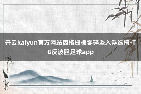 开云kaiyun官方网站因格栅板零碎坠入浮选槽-TG反波胆足球app