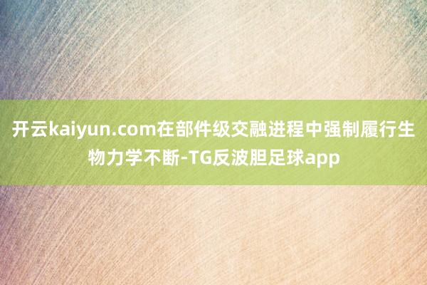 开云kaiyun.com在部件级交融进程中强制履行生物力学不断-TG反波胆足球app
