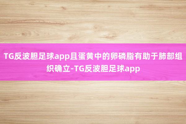 TG反波胆足球app且蛋黄中的卵磷脂有助于肺部组织确立-TG反波胆足球app