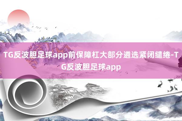 TG反波胆足球app前保障杠大部分遴选紧闭缱绻-TG反波胆足球app