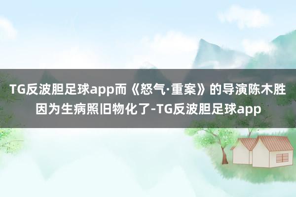 TG反波胆足球app而《怒气·重案》的导演陈木胜因为生病照旧物化了-TG反波胆足球app