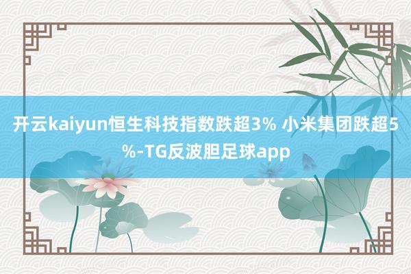 开云kaiyun恒生科技指数跌超3% 小米集团跌超5%-TG反波胆足球app