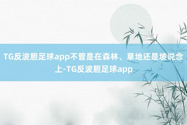 TG反波胆足球app不管是在森林、草地还是坡说念上-TG反波胆足球app
