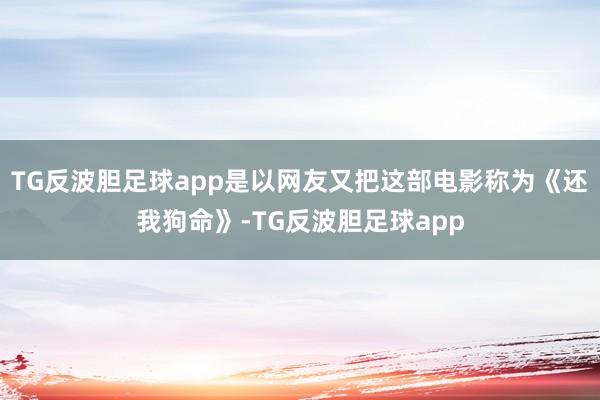TG反波胆足球app是以网友又把这部电影称为《还我狗命》-TG反波胆足球app