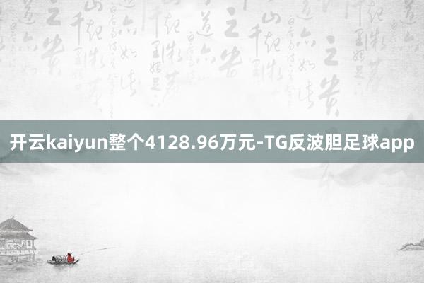 开云kaiyun整个4128.96万元-TG反波胆足球app