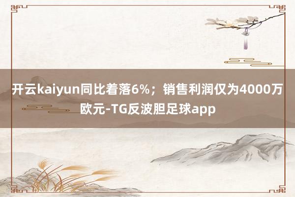 开云kaiyun同比着落6%；销售利润仅为4000万欧元-TG反波胆足球app