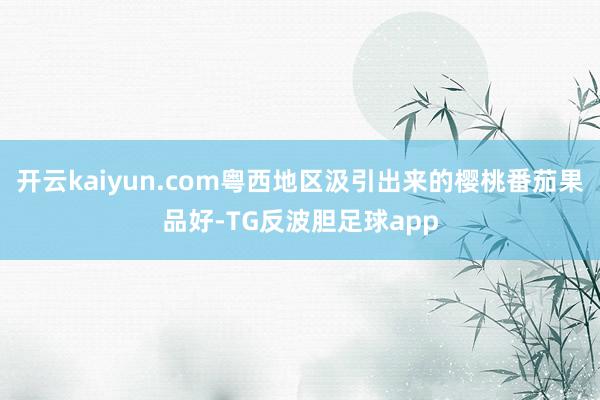开云kaiyun.com粤西地区汲引出来的樱桃番茄果品好-TG反波胆足球app