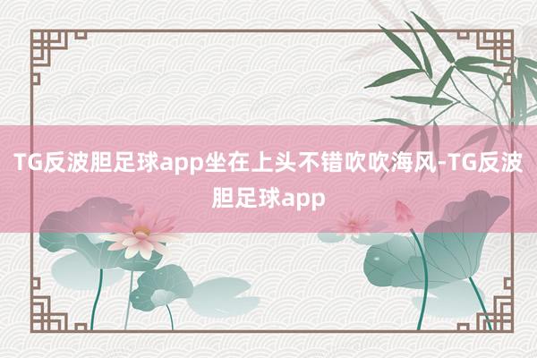 TG反波胆足球app坐在上头不错吹吹海风-TG反波胆足球app