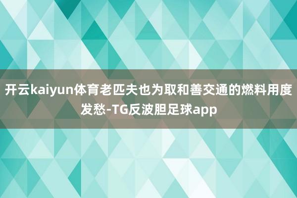 开云kaiyun体育老匹夫也为取和善交通的燃料用度发愁-TG反波胆足球app
