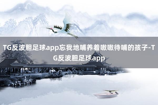 TG反波胆足球app忘我地哺养着嗷嗷待哺的孩子-TG反波胆足球app
