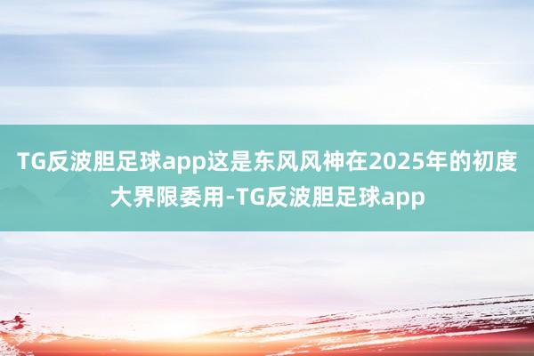 TG反波胆足球app这是东风风神在2025年的初度大界限委用-TG反波胆足球app