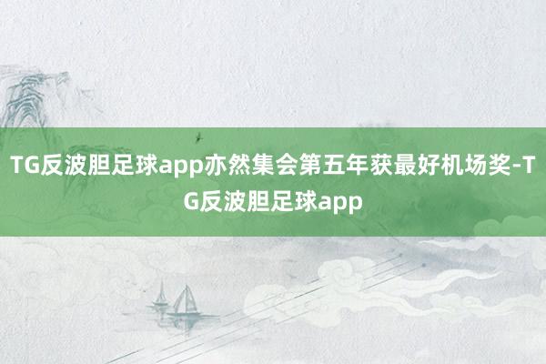 TG反波胆足球app亦然集会第五年获最好机场奖-TG反波胆足球app