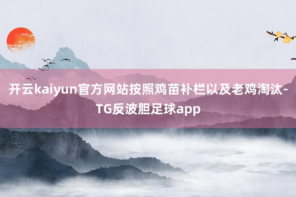 开云kaiyun官方网站按照鸡苗补栏以及老鸡淘汰-TG反波胆足球app