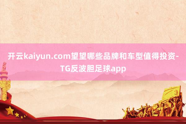 开云kaiyun.com望望哪些品牌和车型值得投资-TG反波胆足球app
