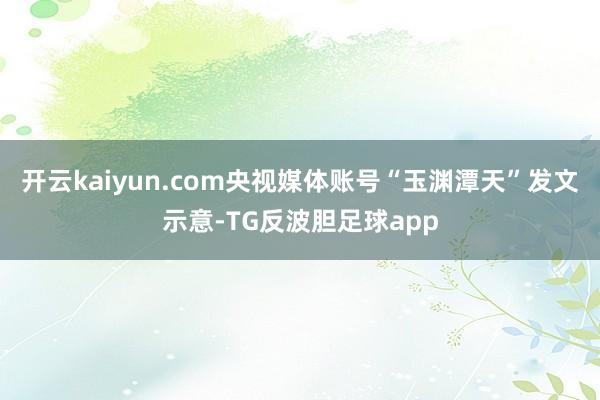 开云kaiyun.com央视媒体账号“玉渊潭天”发文示意-TG反波胆足球app
