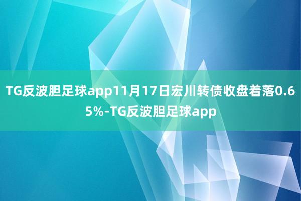 TG反波胆足球app11月17日宏川转债收盘着落0.65%-TG反波胆足球app