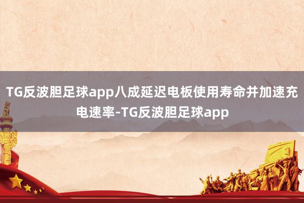 TG反波胆足球app八成延迟电板使用寿命并加速充电速率-TG反波胆足球app