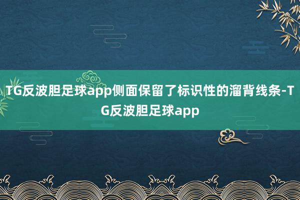 TG反波胆足球app侧面保留了标识性的溜背线条-TG反波胆足球app