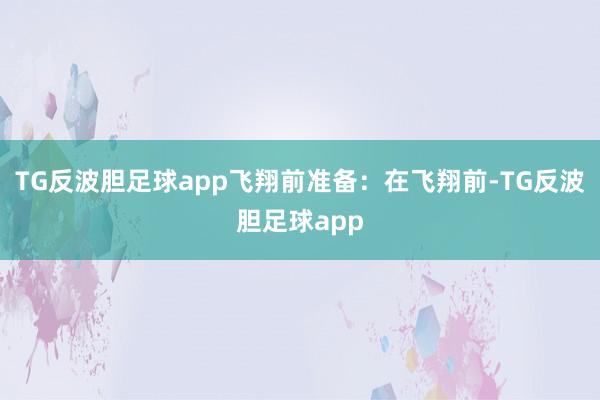 TG反波胆足球app飞翔前准备：在飞翔前-TG反波胆足球app