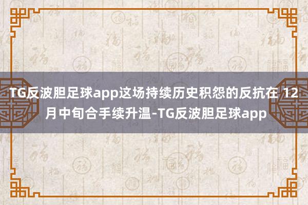 TG反波胆足球app这场持续历史积怨的反抗在 12 月中旬合手续升温-TG反波胆足球app