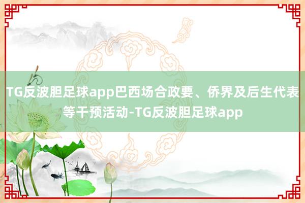 TG反波胆足球app巴西场合政要、侨界及后生代表等干预活动-TG反波胆足球app