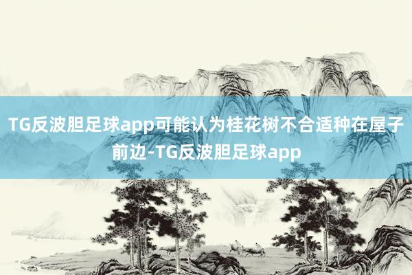 TG反波胆足球app可能认为桂花树不合适种在屋子前边-TG反波胆足球app