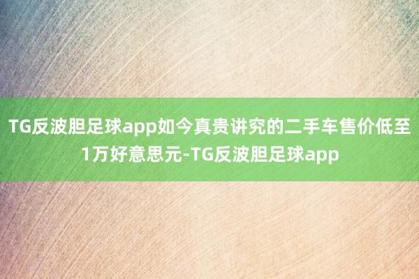 TG反波胆足球app如今真贵讲究的二手车售价低至1万好意思元-TG反波胆足球app