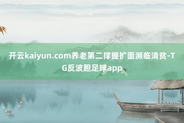 开云kaiyun.com养老第二撑握扩面濒临清贫-TG反波胆足球app
