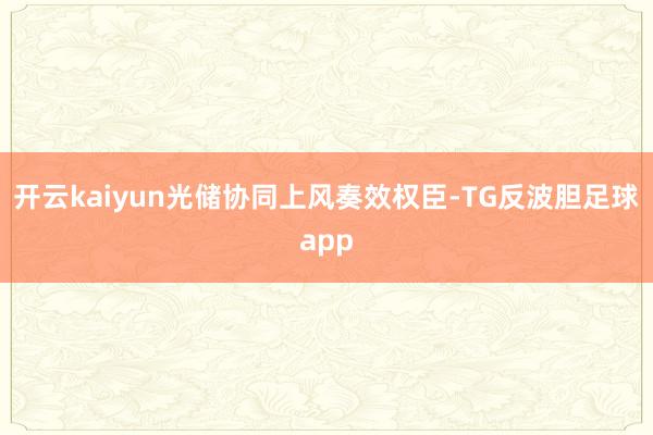 开云kaiyun光储协同上风奏效权臣-TG反波胆足球app