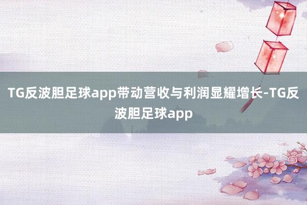 TG反波胆足球app带动营收与利润显耀增长-TG反波胆足球app