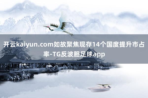 开云kaiyun.com如故聚焦现存14个国度提升市占率-TG反波胆足球app