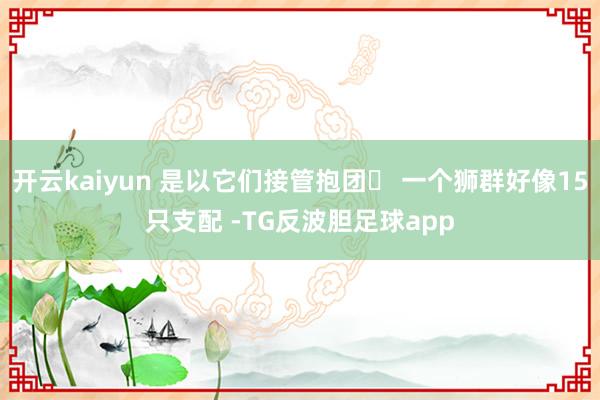 开云kaiyun 是以它们接管抱团｡ 一个狮群好像15只支配 -TG反波胆足球app