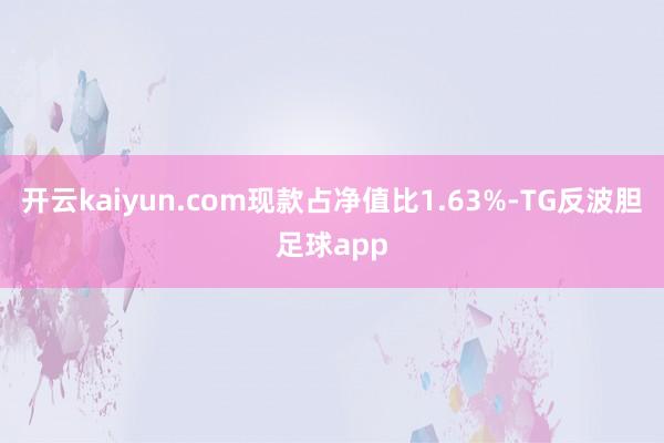开云kaiyun.com现款占净值比1.63%-TG反波胆足球app
