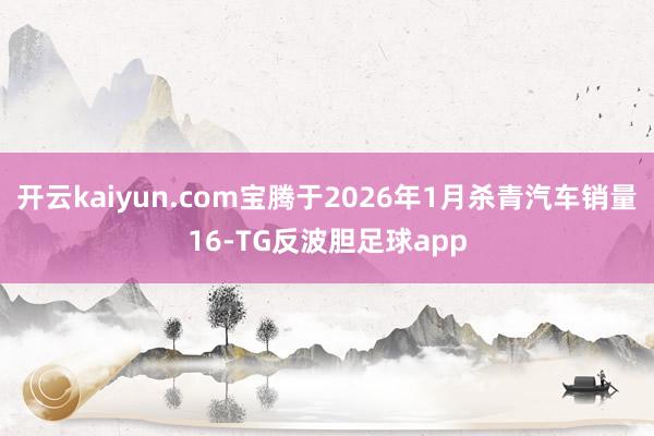 开云kaiyun.com宝腾于2026年1月杀青汽车销量16-TG反波胆足球app