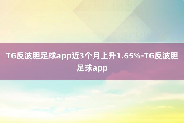 TG反波胆足球app近3个月上升1.65%-TG反波胆足球app