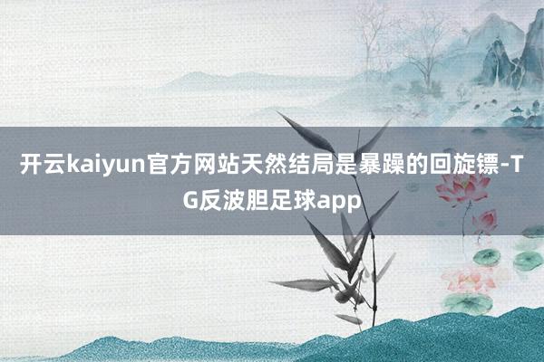 开云kaiyun官方网站天然结局是暴躁的回旋镖-TG反波胆足球app