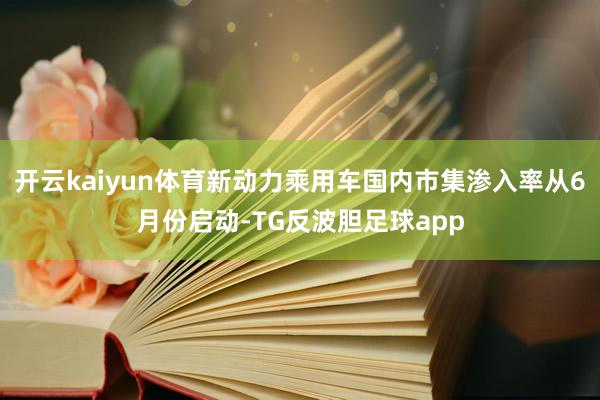 开云kaiyun体育新动力乘用车国内市集渗入率从6月份启动-TG反波胆足球app