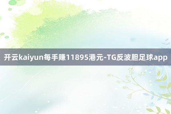 开云kaiyun每手赚11895港元-TG反波胆足球app