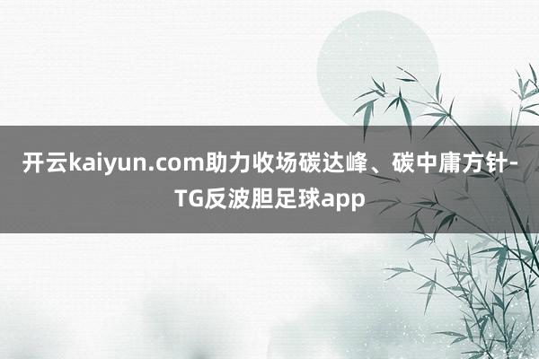 开云kaiyun.com助力收场碳达峰、碳中庸方针-TG反波胆足球app