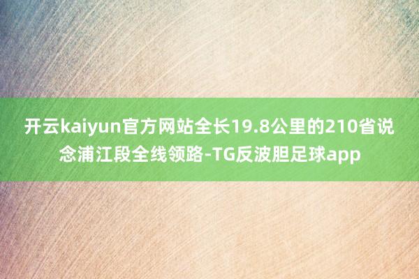 开云kaiyun官方网站全长19.8公里的210省说念浦江段全线领路-TG反波胆足球app