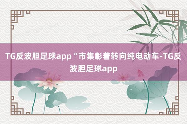TG反波胆足球app “市集彰着转向纯电动车-TG反波胆足球app