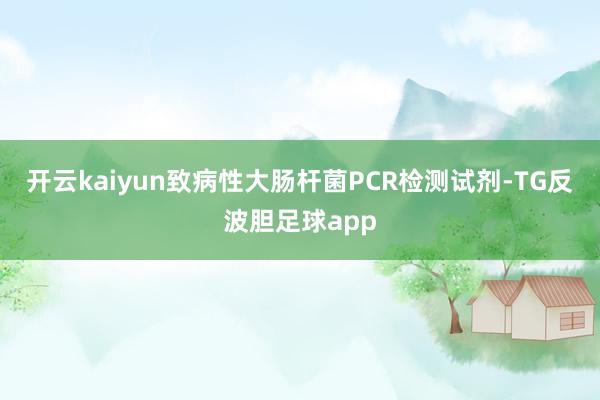 开云kaiyun致病性大肠杆菌PCR检测试剂-TG反波胆足球app