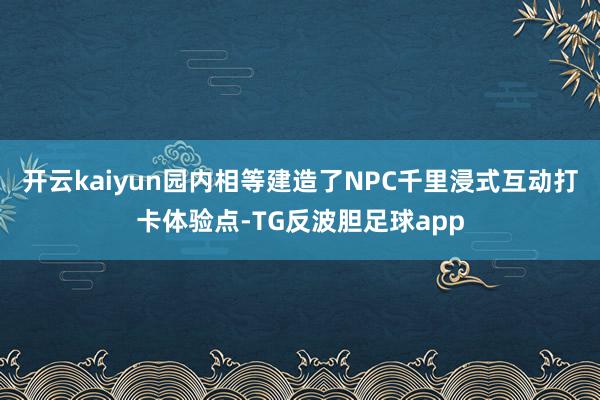 开云kaiyun园内相等建造了NPC千里浸式互动打卡体验点-TG反波胆足球app
