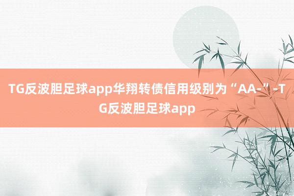 TG反波胆足球app华翔转债信用级别为“AA-”-TG反波胆足球app