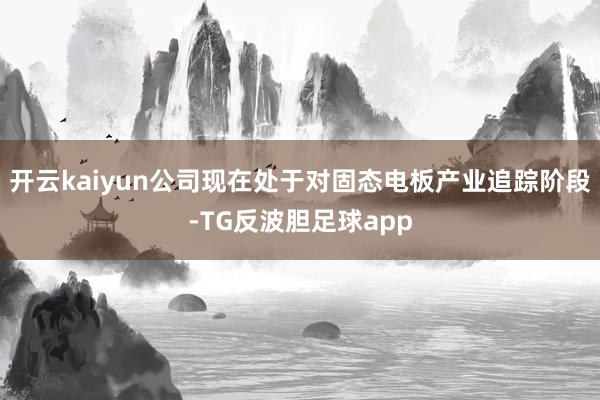 开云kaiyun公司现在处于对固态电板产业追踪阶段-TG反波胆足球app