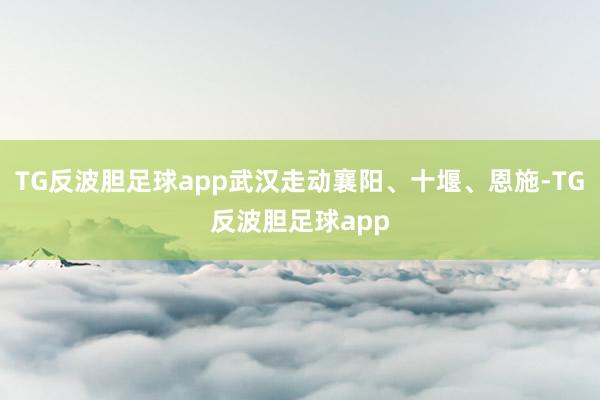 TG反波胆足球app武汉走动襄阳、十堰、恩施-TG反波胆足球app