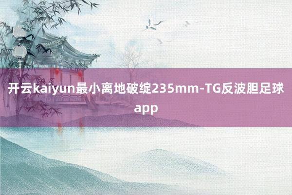 开云kaiyun最小离地破绽235mm-TG反波胆足球app