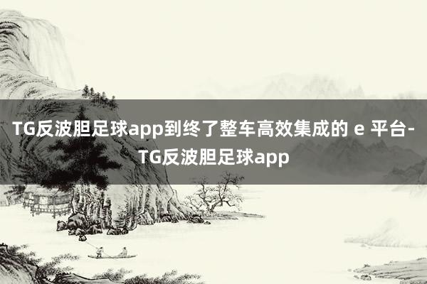 TG反波胆足球app到终了整车高效集成的 e 平台-TG反波胆足球app